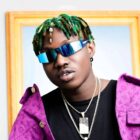 Zlatan Ibile